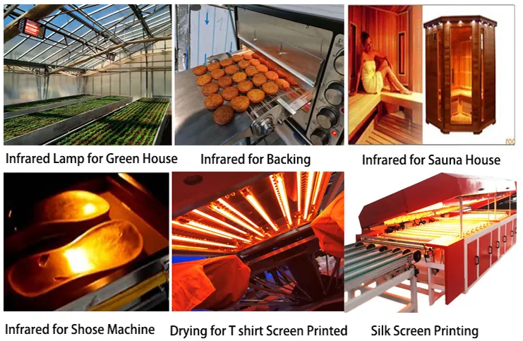 167945653465001 167945653465001