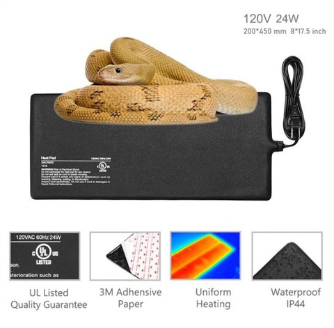 Snake Heat Mad